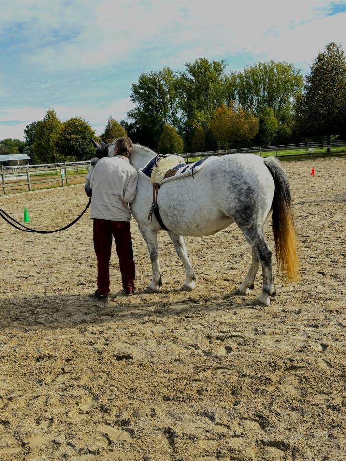 Auf dem Bild sieht man ein weißes Pferd mit einem Mann, welcher das Pferd kuschelt.