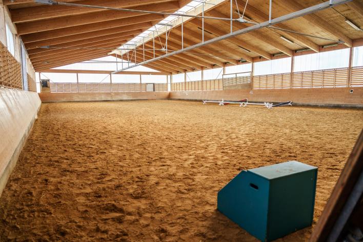 Das Bild zeigt die leere Reithalle des Hofes.