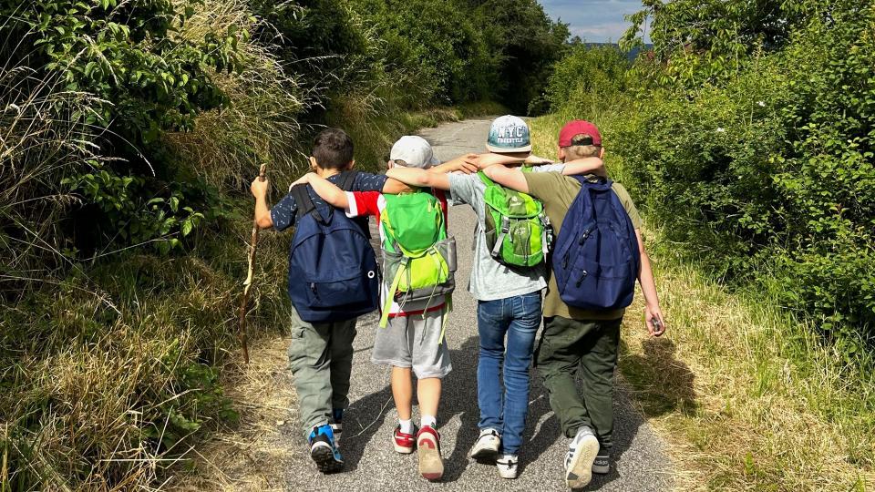 Man sieht vier Freunde, welche Arm in Arm wandern.