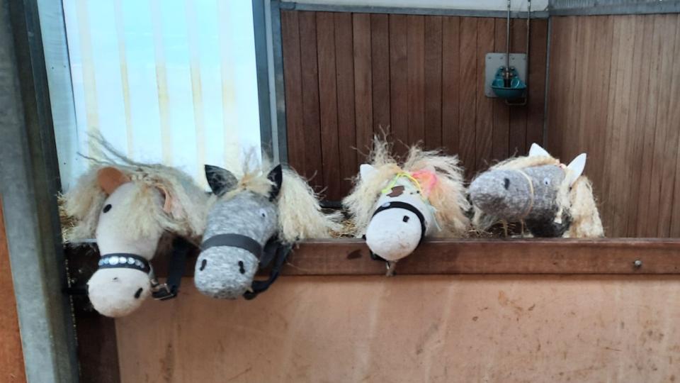 Man sieht 4 Hobby-Horse-Köpfe über die Bande einer Reithalle schauen.