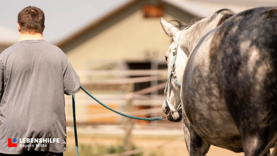 Man sieht einen Mann, welcher das Pferd "Lara" führt, von hinten mit dem Lebenshilfe-Logo unten links.