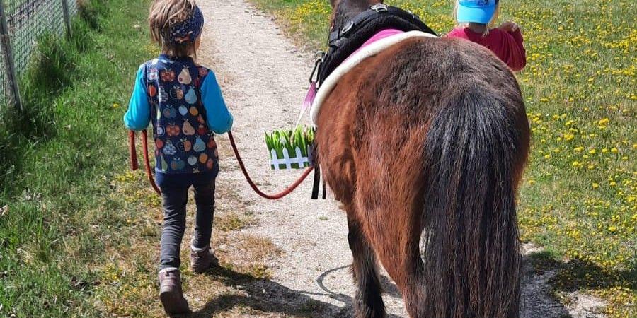 Kind führt ein Pony an der Leine über einen Feldweg auf dem Gut Aufeld