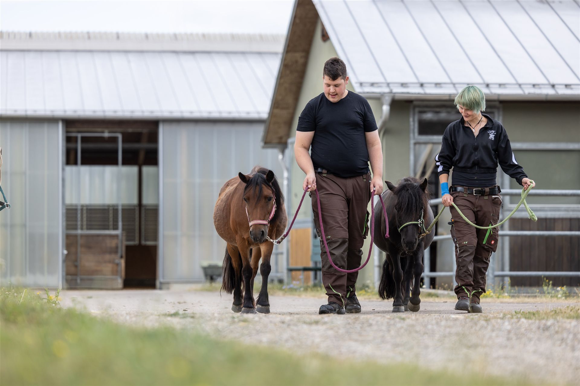 Mensch und Pferd auf Gut Aufeld